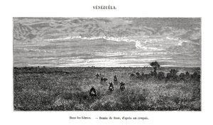 Los Llanos, Venezuela, 19. Jahrhundert von Edouard Riou