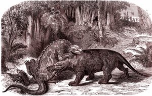Der Iguanodon und der Megalosaurus (Gravur) von Edouard Riou