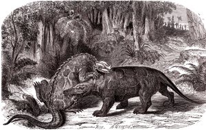 Der Iguanodon und der Megalosaurus