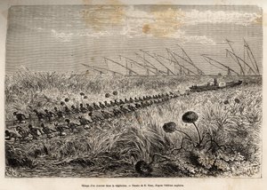 Das Schleppen eines Dampfers durch die Vegetationsflöße, die den Hohlkanal überwuchern, um einen Sumpf zu verlassen, geätzt nach einer Zeichnung von E. Riou, zur Illustration einer bewaffneten Expedition in Zentralafrika, zur Unterdrückung des Schwarzhande von Edouard Riou