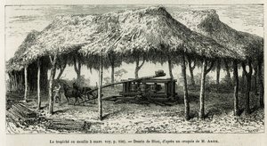 Die Trapiche, oder Zuckermühle zum Mahlen der Zuckerrohre in Panche (Kolumbien), Zeichnung von Riou, zur Illustration der Geschichte von Äquatorialamerika (Kolumbien, Ecuador, Peru), 1875-1876, von Ed. Andre, Reisender im Auftrag der französischen Regierun von Edouard Riou