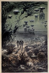 Unterwasserboden