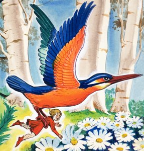 Die Geschichte von Däumelinchen von Eduardo Teixeira Coelho