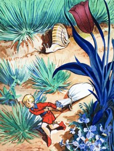 Die Geschichte von Däumling von Eduardo Teixeira Coelho