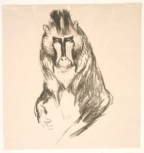 Gorilla (Mandrill) von Edvard Munch