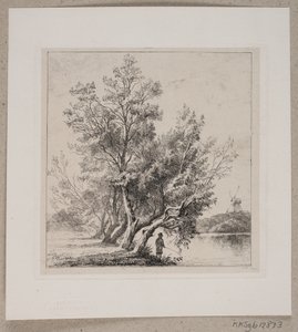Weidenbäume am Stadtgraben