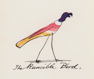 Edward Lear, Das Vogelbuch: Der Runcible-Vogel