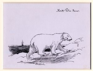 Eisbär, ca. 1905