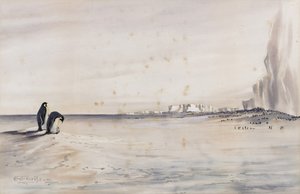 Die Kaiserpinguin-Kolonie, Cape Crozier von Edward Adrian Wilson
