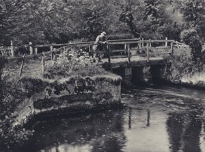 Bei Burcombe an der Nadder