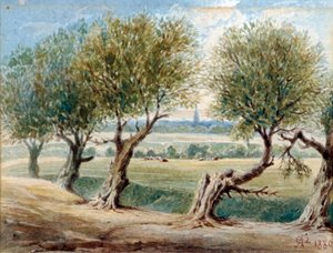 Letztes Überbleibsel des River Fleet, ...auf der Ostseite der Fleet Road, Hampstead, 1880 von Edward Arthur Heffer