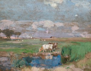 Suffolk-Weiden