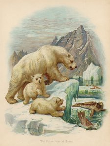 Der Eisbär zu Hause von Edward Brice Montefiore