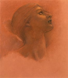 Studie für 