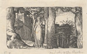 Die Dame und die Saatkrähen