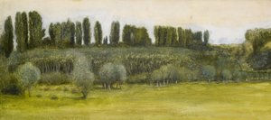 Landschaft mit Weiden und Pappeln, Studie