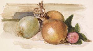 Stillleben - Studie von Zwiebeln von Edward Burne Jones