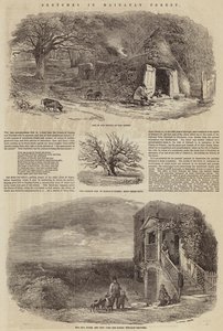Skizzen im Hainault-Wald von Edward Duncan