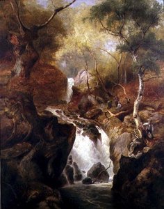 Wasserfall durch einen Wald