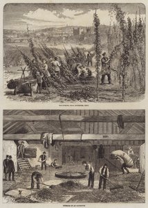 Hopfenernte in Kent von Edward Hull