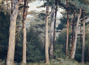 Lambert Schloss von Edward Ingram Taylor