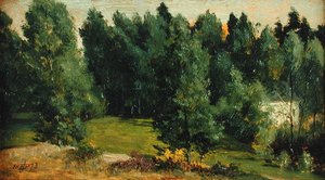 Eine bewaldete Landschaft