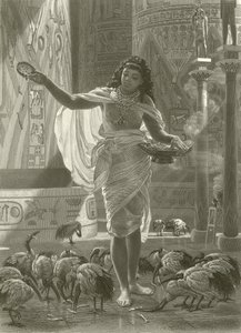 Fütterung des heiligen Ibis in den Hallen von Karnak von Edward John Poynter