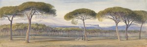 Ein Blick auf die Kiefernwälder über Cannes von Edward Lear
