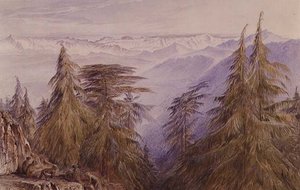 Affen auf einem Felsen in der Nähe von Simla, Nordindien von Edward Lear
