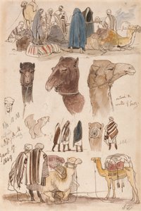 Außerhalb der Mauern von Suez, 17. Januar 1849, 08:30 Uhr