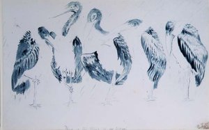 Studien von Störchen von Edward Lear
