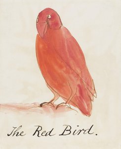 Der rote Vogel, aus Sechzehn Zeichnungen komischer Vögel von Edward Lear
