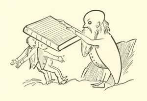 Die zwei alten Junggesellen von Edward Lear
