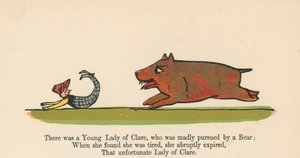 Es war eine junge Dame aus Clare, die von einem Bären wahnsinnig verfolgt wurde von Edward Lear