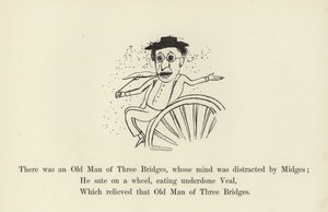 Es war ein alter Mann von Drei Brücken, dessen Geist von Mücken abgelenkt war von Edward Lear