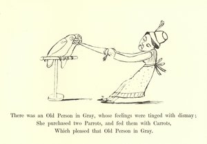 Es war eine alte Person in Grau, deren Gefühle von Bestürzung getrübt waren von Edward Lear