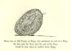 Es war eine alte Person von Brigg, die endlos eine Perücke kaufte von Edward Lear