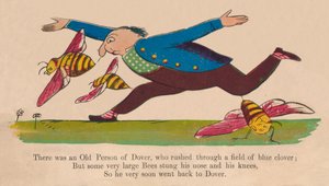 Es war eine alte Person von Dover... von Edward Lear