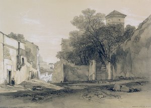 Ansichten von Rom und seiner Umgebung: Via Porta Pinciana in Rom von Edward Lear