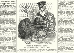 Abraham Dee Bartlett, Leiter des Londoner Zoos, und ein Baby-Gorilla (Stich) von Edward Linley (after) Sambourne