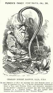 Karikatur: Charles Darwin, englischer Naturforscher und Biologe (Gravur)