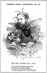 John Lubbock, erster Baron Avebury, englischer Bankier, Archäologe, Naturforscher und Politiker, 1882