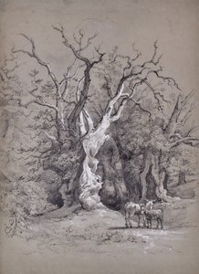 Landschaft mit Baum von Edward Pretty