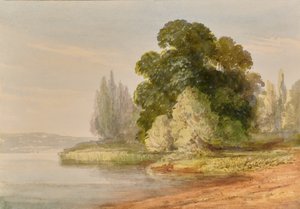 Landschaft mit Bäumen