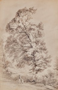 Landschaft mit Bäumen