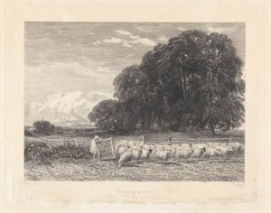 Wechselnde Weide von Edward Radclyffe