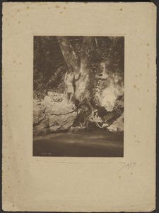Apache-Schwarzer Fluss (Bei der Platane) von Edward S. Curtis