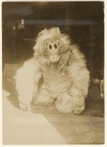 In der Wolfmaske von Edward S. Curtis