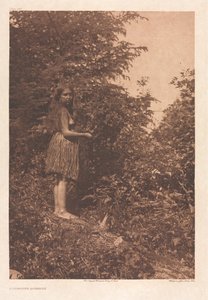 Portfolio IX, Platten 293-328 von Edward S. Curtis