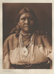 Portfolio I, Platte 23: Jicarilla-Matrone